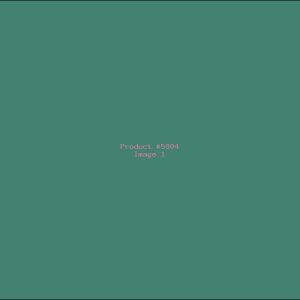 Example Product 5904