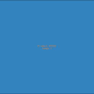 Example Product 5916