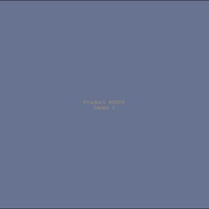 Example Product 5919