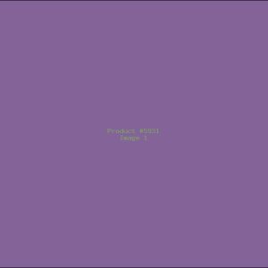 Example Product 5931