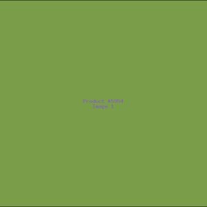 Example Product 5954