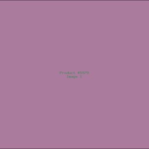 Example Product 5979