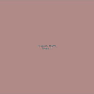 Example Product 5980