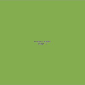 Example Product 5984