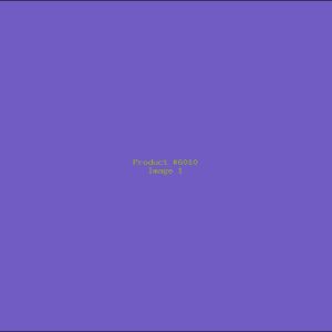 Example Product 6010