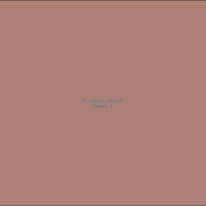 Example Product 6014