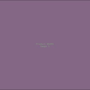 Example Product 6055