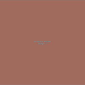 Example Product 6060