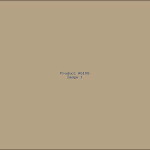 Example Product 6108