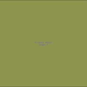 Example Product 6117