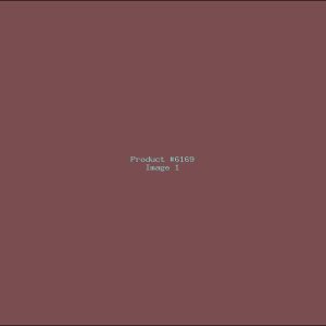 Example Product 6169