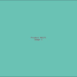 Example Product 6172