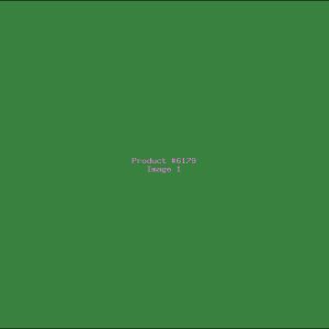 Example Product 6179