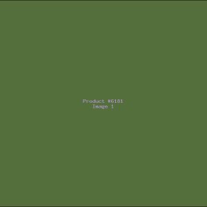 Example Product 6181