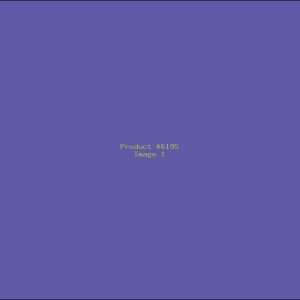 Example Product 6195