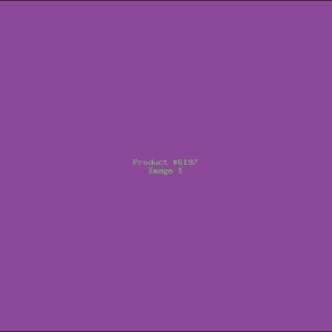 Example Product 6197