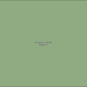 Example Product 6198