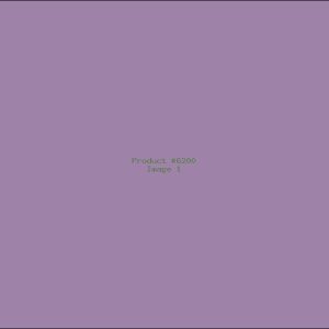 Example Product 6200