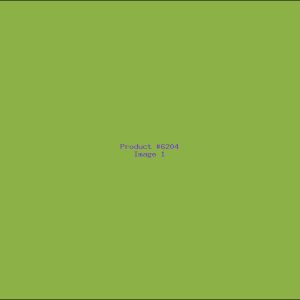 Example Product 6204