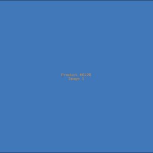 Example Product 6228