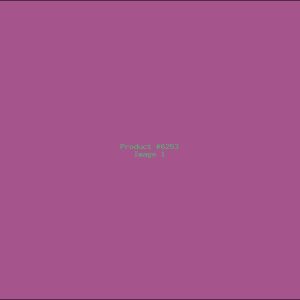 Example Product 6253