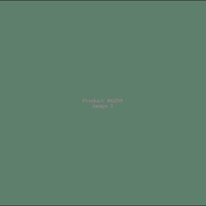 Example Product 6259