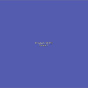 Example Product 6274