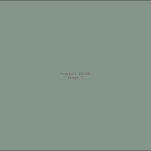 Example Product 6288