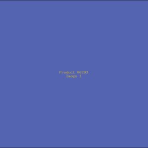 Example Product 6293