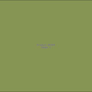 Example Product 6304