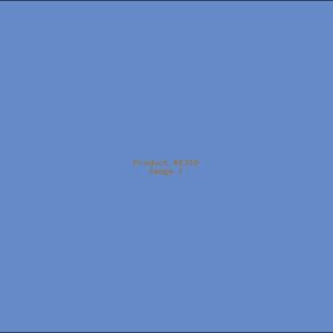 Example Product 6310