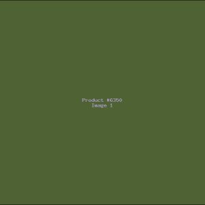 Example Product 6350