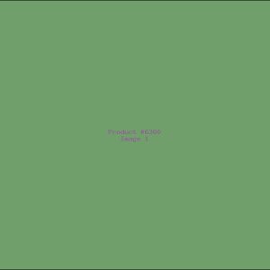 Example Product 6360