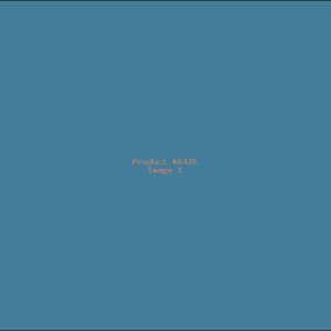 Example Product 6425