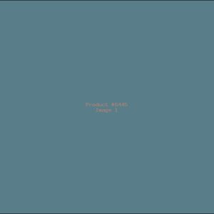 Example Product 6445