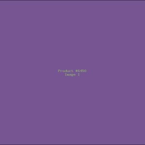 Example Product 6450