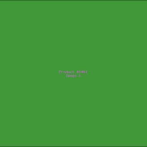 Example Product 6461