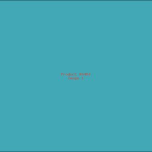 Example Product 6484