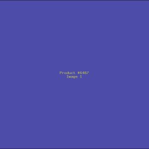 Example Product 6487