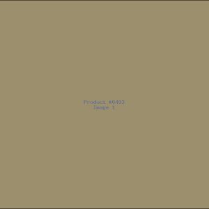 Example Product 6493