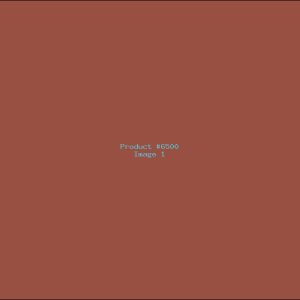 Example Product 6500