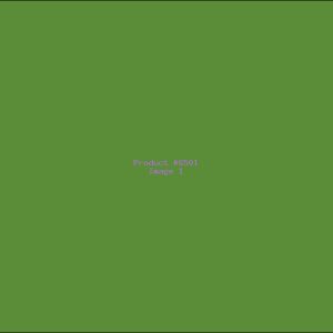 Example Product 6501