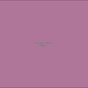 Example Product 6511