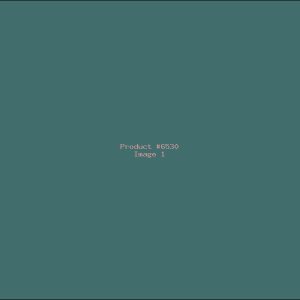 Example Product 6530