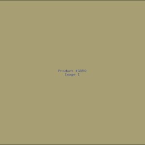 Example Product 6550