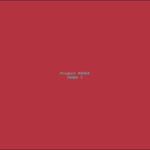 Example Product 6564