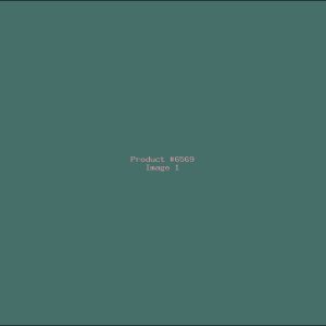 Example Product 6569