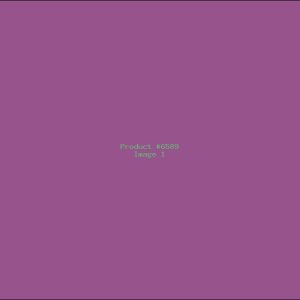 Example Product 6589