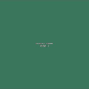 Example Product 6601