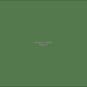 Example Product 6604